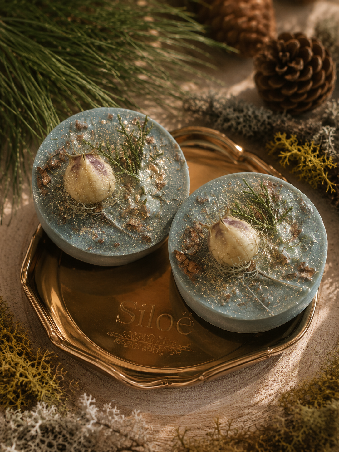 Fondant Botanique - Canopé des Landes
